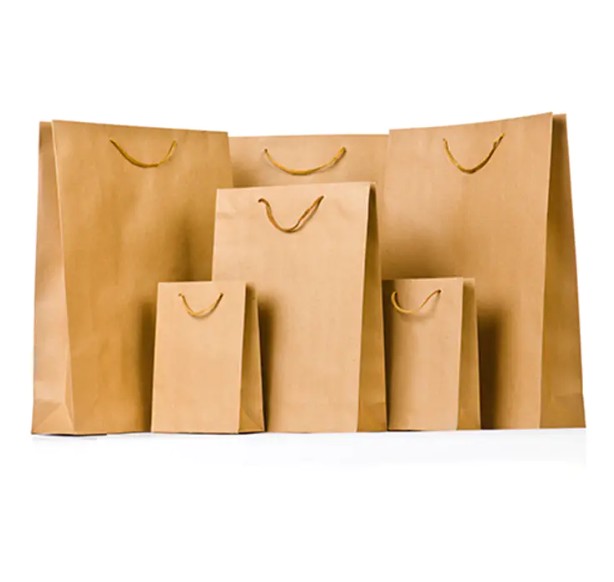 Os sacos de papel personalizados de alta qualidade impressos poderiam revolucionar a imagem da sua marca?